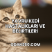 Yavru Kedi Hastalıkları ve Belirtileri