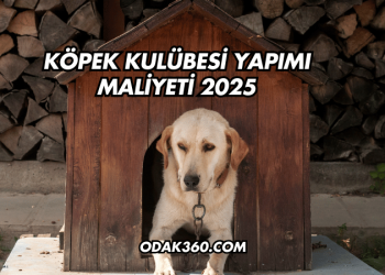 Köpek Kulübesi Yapımı Maliyeti 2025