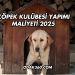 Köpek Kulübesi Yapımı Maliyeti 2025