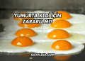 Yumurta Kedi İçin Zararlı mı?