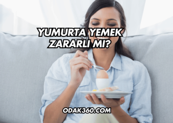 Yumurta Yemek Zararlı mı?