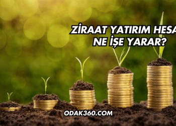 Ziraat Yatırım Hesabı Ne İşe Yarar?