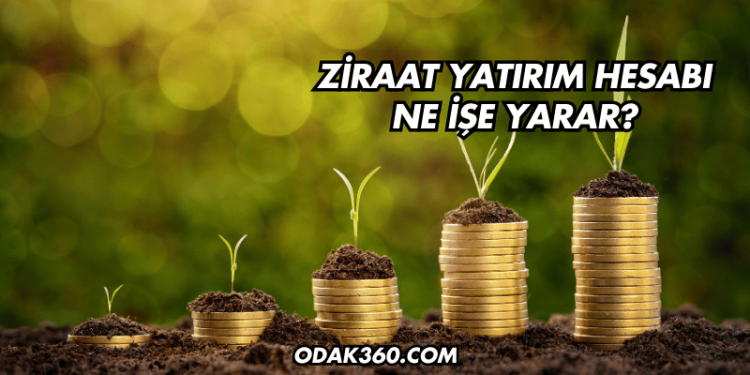 Ziraat Yatırım Hesabı Ne İşe Yarar?