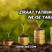 Ziraat Yatırım Hesabı Ne İşe Yarar?