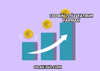 100 Bin TL ile Yatırım Yapmak