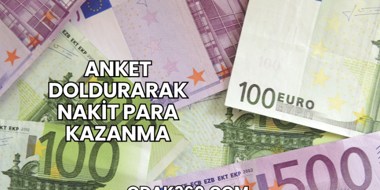 Anket Doldurarak Nakit Para Kazanma