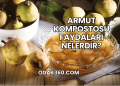 Armut Kompostosu Faydaları Nelerdir?