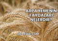 Arpa Yemenin Faydaları Nelerdir?