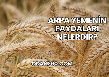 Arpa Yemenin Faydaları Nelerdir?