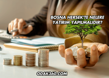 Bosna Hersek'te Nelere Yatırım Yapılmalıdır?