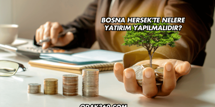 Bosna Hersek'te Nelere Yatırım Yapılmalıdır?