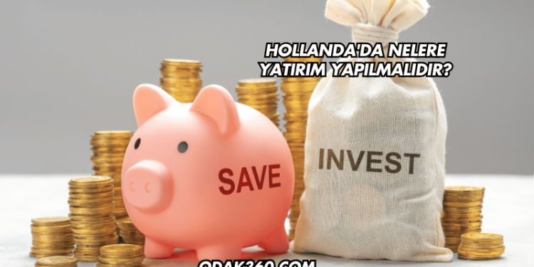 Hollanda'da Nelere Yatırım Yapılmalıdır?