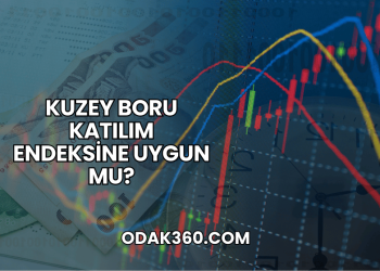 Kuzey Boru Katılım Endeksine Uygun mu?