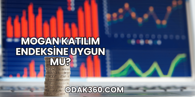 Mogan Katılım Endeksine Uygun mu?