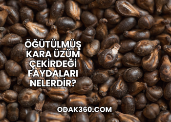 Öğütülmüş Kara Üzüm Çekirdeği Faydaları Nelerdir?