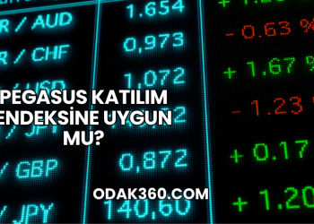 Pegasus Katılım Endeksine Uygun mu?
