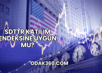 SDTTR Katılım Endeksine Uygun mu?