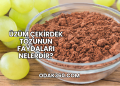 Üzüm Çekirdek Tozunun Faydaları Nelerdir?