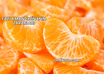 Fazla Mandalinanın Zararları