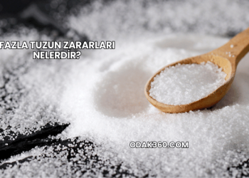 Fazla Tuzun Zararları Nelerdir?