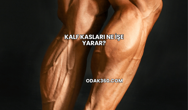 Kalf Kasları Ne İşe Yarar?