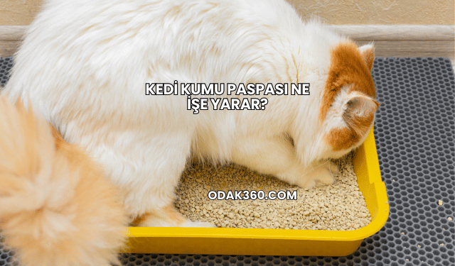 Kedi Kumu Paspası Ne İşe Yarar?