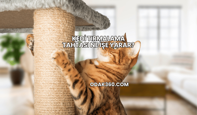 Kedi Tırmalama Tahtası Ne İşe Yarar?