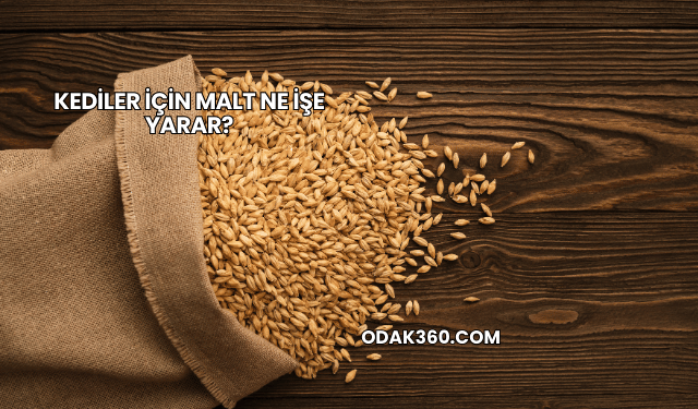 Kediler İçin Malt Ne İşe Yarar?