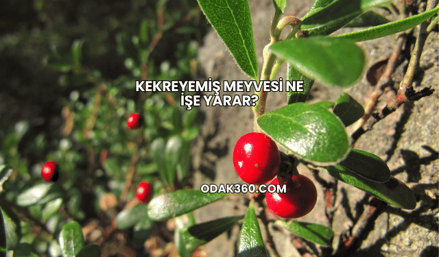 Kekreyemiş Meyvesi Ne İşe Yarar?