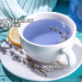 Mavi Çay Zararları Nelerdir?