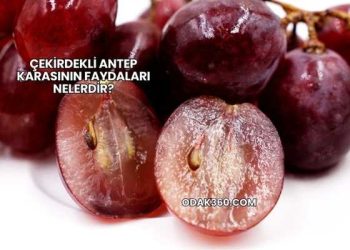 Çekirdekli Antep Karasının Faydaları Nelerdir?