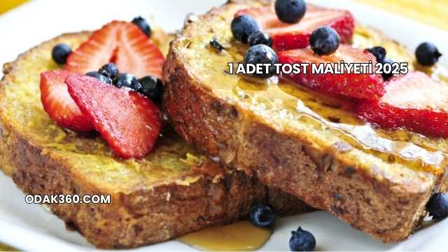 1 Adet Tost Maliyeti 2025