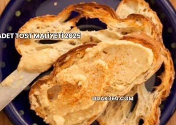 1 Adet Tost Maliyeti 2025