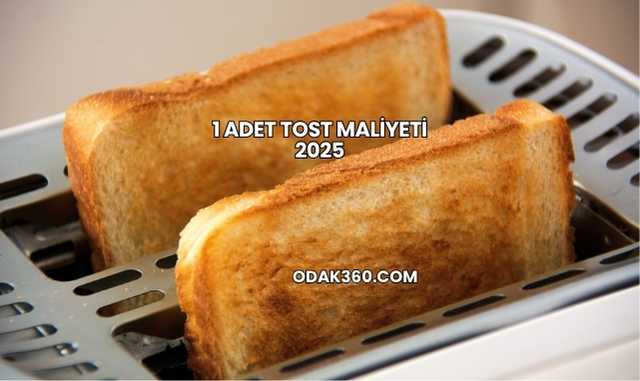 1 Adet Tost Maliyeti 2025
