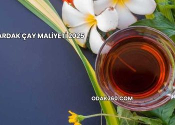 1 Bardak Çay Maliyeti 2025