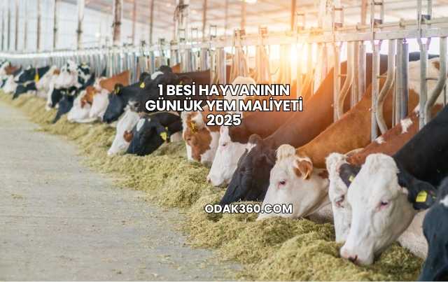 1 Besi Hayvanının Günlük Yem Maliyeti 2025
