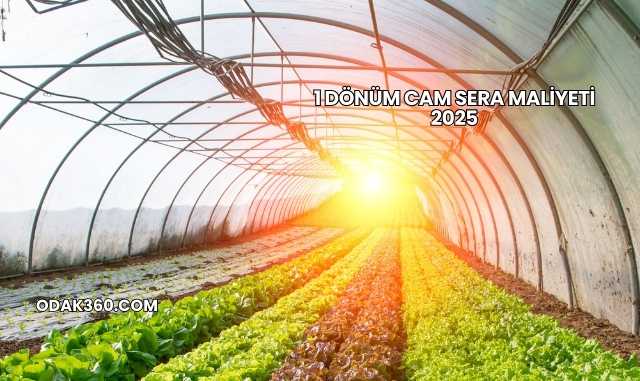 1 Dönüm Cam Sera Maliyeti 2025