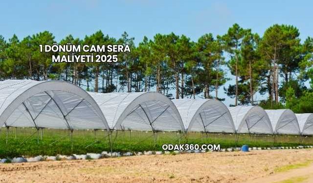 1 Dönüm Cam Sera Maliyeti 2025