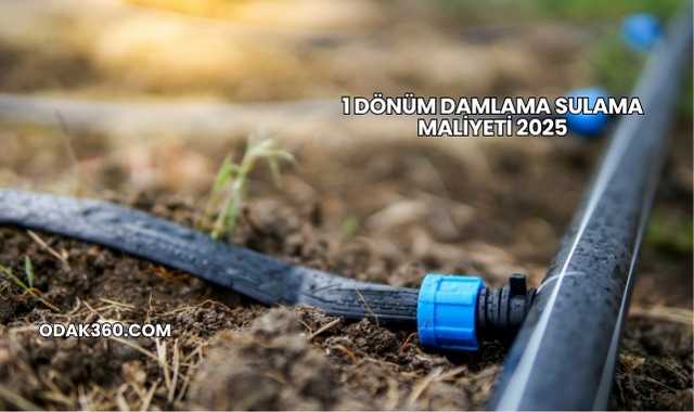 1 Dönüm Damlama Sulama Maliyeti 2025