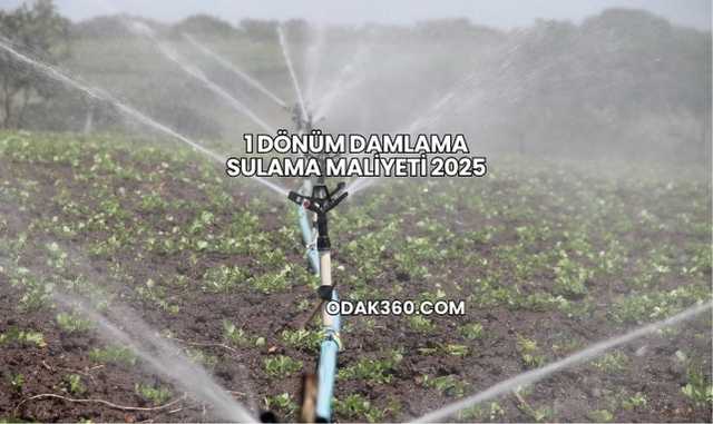 1 Dönüm Damlama Sulama Maliyeti 2025