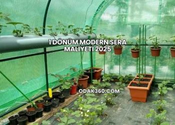 1 Dönüm Modern Sera Maliyeti 2025