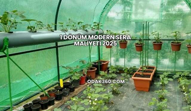 1 Dönüm Modern Sera Maliyeti 2025