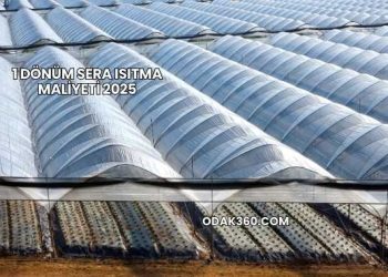 1 Dönüm Sera Isıtma Maliyeti 2025