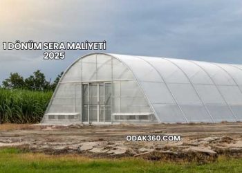 1 Dönüm Sera Maliyeti 2025