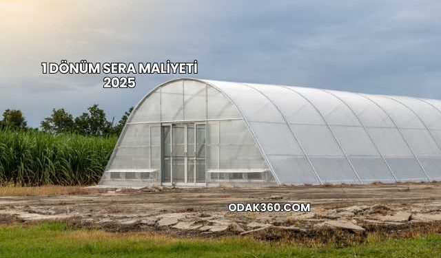 1 Dönüm Sera Maliyeti 2025