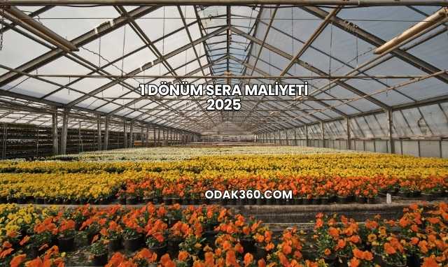 1 Dönüm Sera Maliyeti 2025