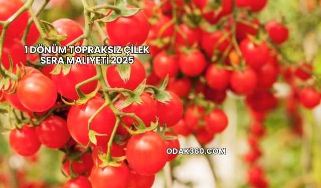 1 Dönüm Topraksız Çilek Sera Maliyeti 2025