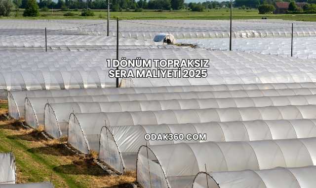 1 Dönüm Topraksız Sera Maliyeti 2025