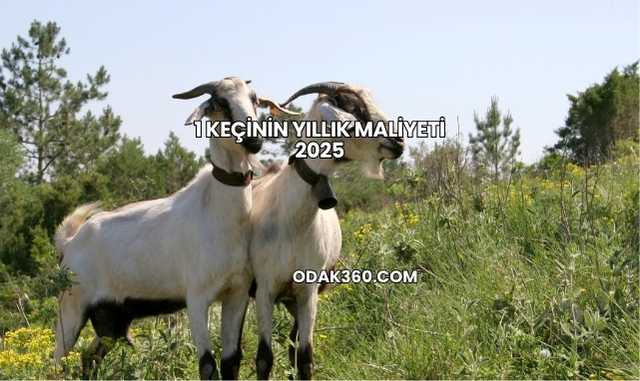 1 Keçinin Yıllık Maliyeti 2025