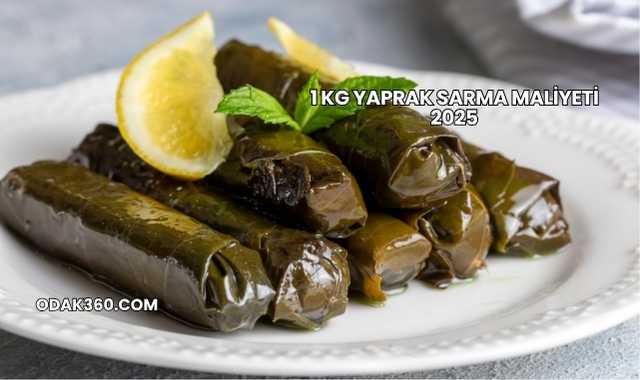 1 Kg Yaprak Sarma Maliyeti 2025
